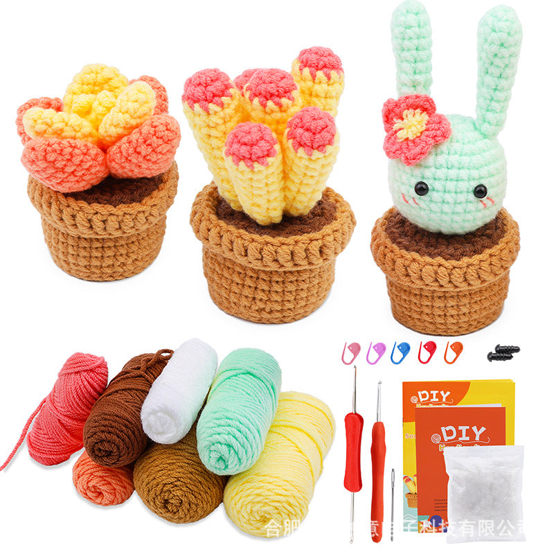 Crochet Kit for Beginners, Crochet Starter Kits, Amigurumi Craft Knitting Crocheting  cactus succulent pot plant kit with Step-by-Step Video Tutorials