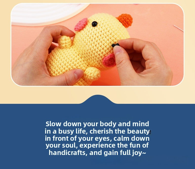Crochet Kit for Beginners, Crochet Starter Kits, Amigurumi Craft Knitting  creative dinosaur  Crocheting Kits with Step-by-Step Video Tutorials