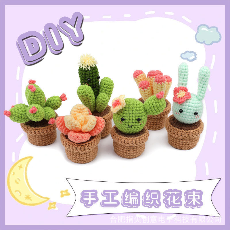 Crochet Kit for Beginners, Crochet Starter Kits, Amigurumi Craft Knitting Crocheting  cactus succulent pot plant kit with Step-by-Step Video Tutorials