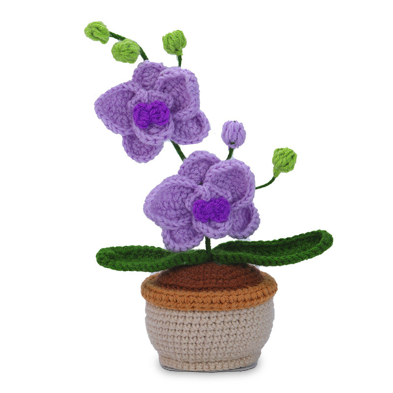 Crochet Kit for Beginners, Crochet Starter Kits, Amigurumi Craft Knitting Crocheting Kits Phalaenopsis   with Step-by-Step Video Tutorials