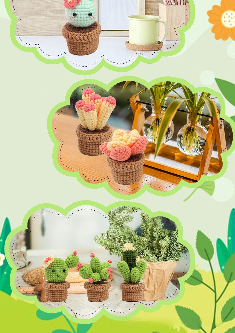 Crochet Kit for Beginners, Crochet Starter Kits, Amigurumi Craft Knitting Crocheting  cactus succulent pot plant kit with Step-by-Step Video Tutorials